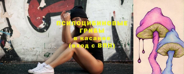 дмт Горно-Алтайск