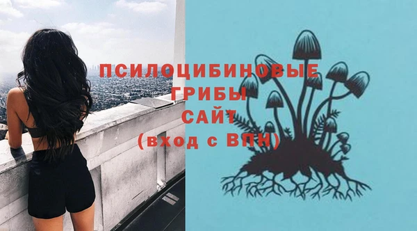 прущая мука Гусь-Хрустальный