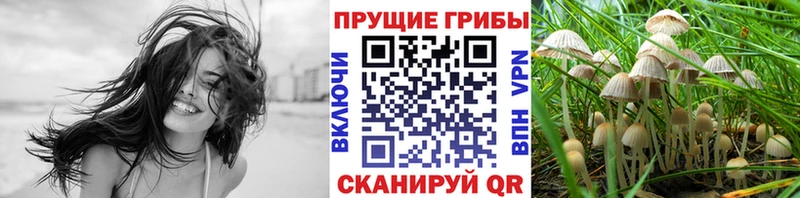 Галлюциногенные грибы ЛСД  Купить закладки  Олёкминск 
